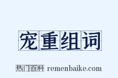宠重组词是什么意思的图片